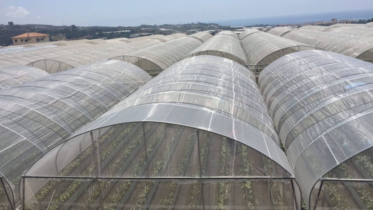 inveurop-agrotextiles-invernadero (1).jpg